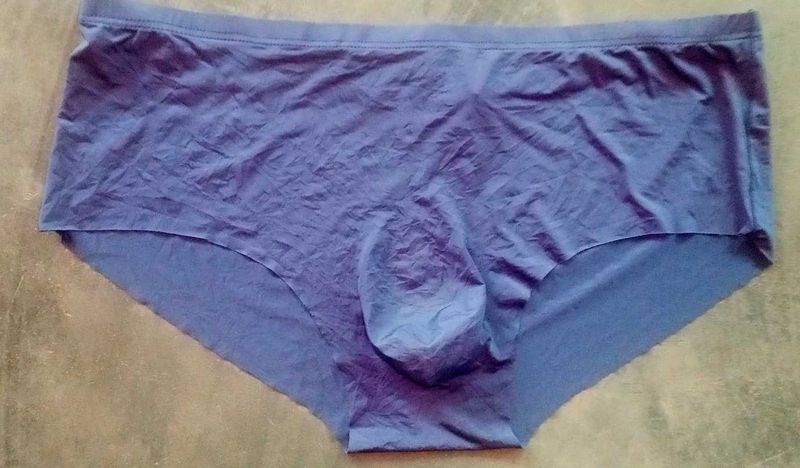 Mens Silk Seamless Pouch Briefs