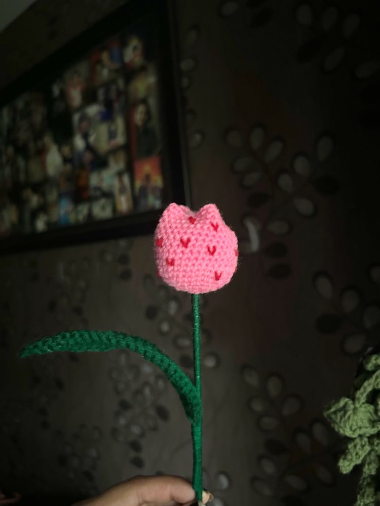 Heart Tulip