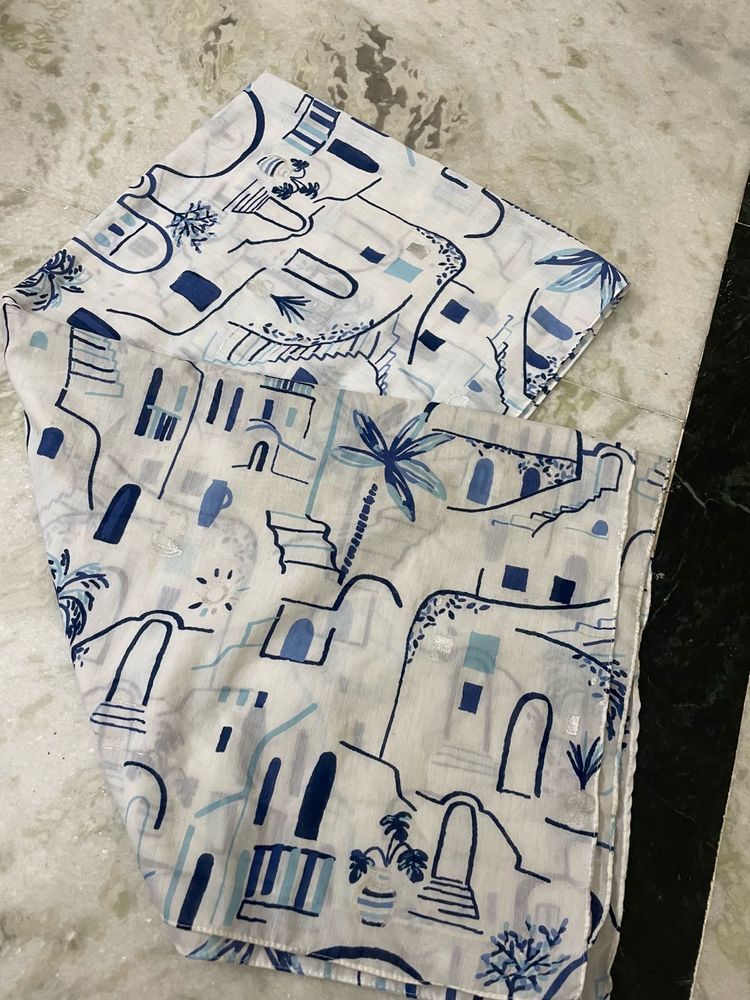 Blue &amp; White Scarf