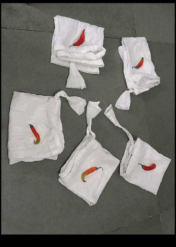 Vegetable Carry Bag
