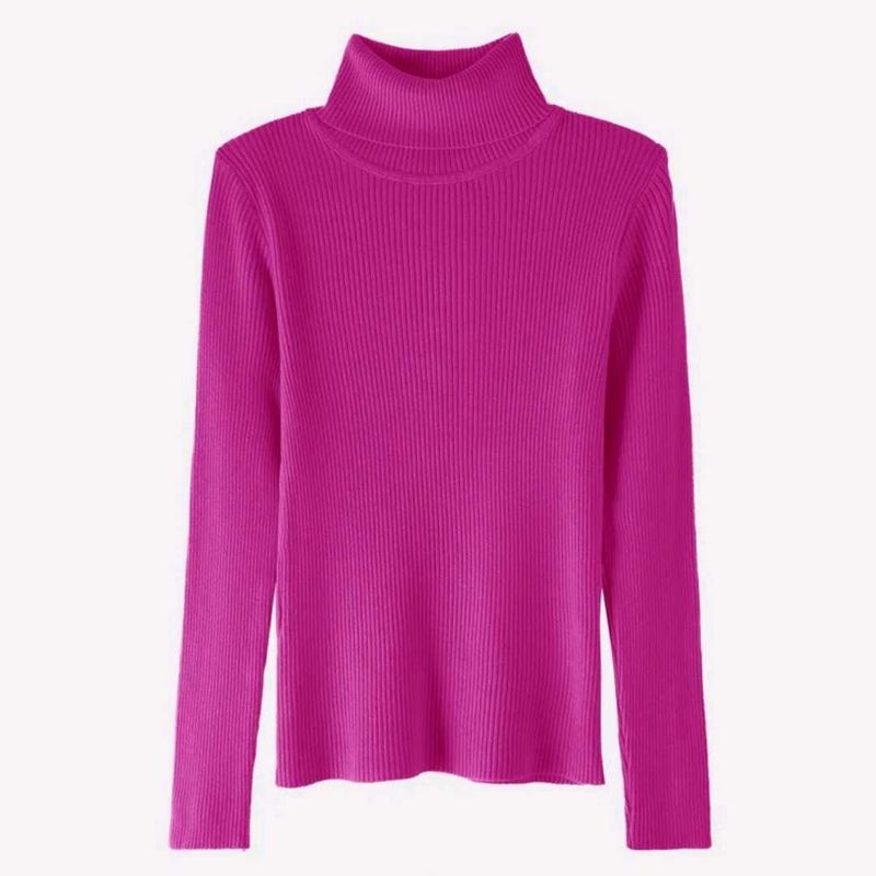 *New* Savana Ribbed Turtleneck /highneck Kint Top