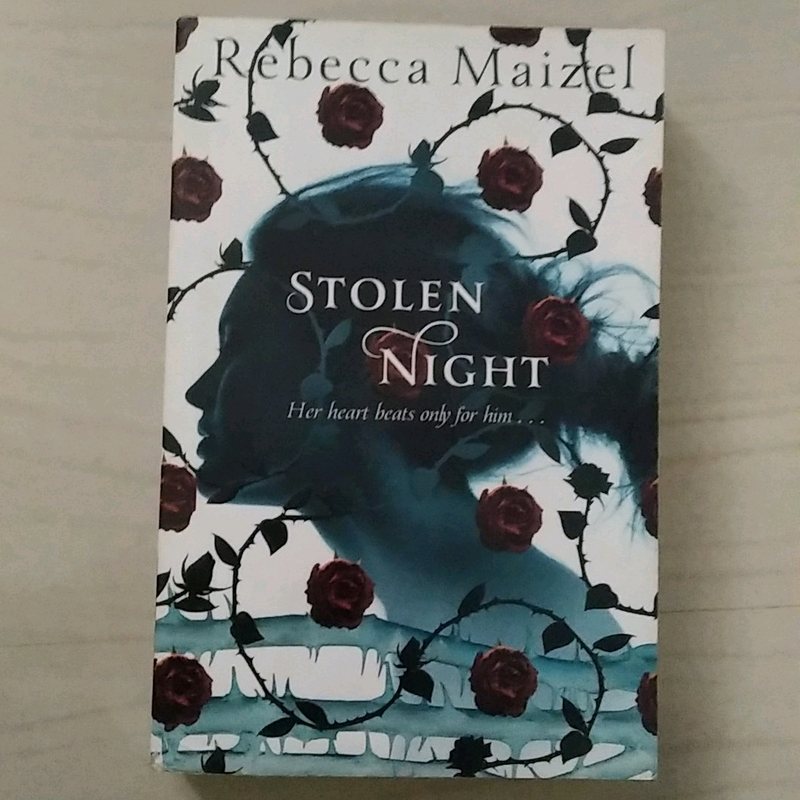 Stolen Night by Rebecca Maizel