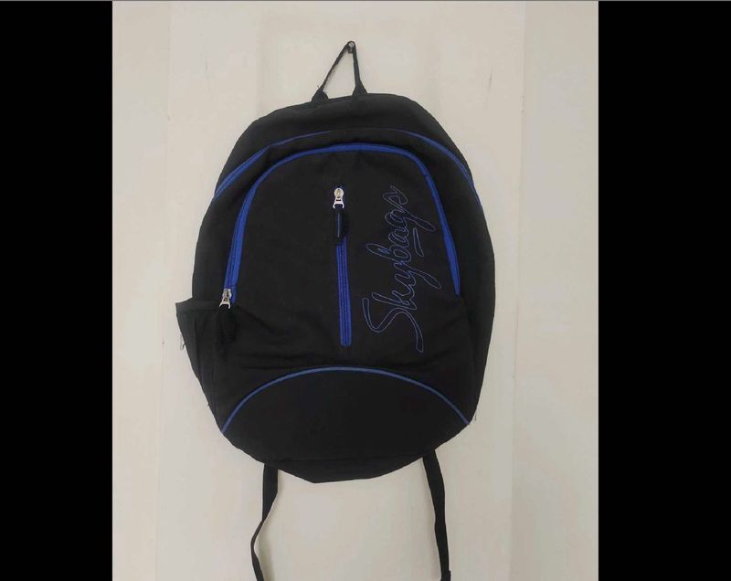Skybags Backpack