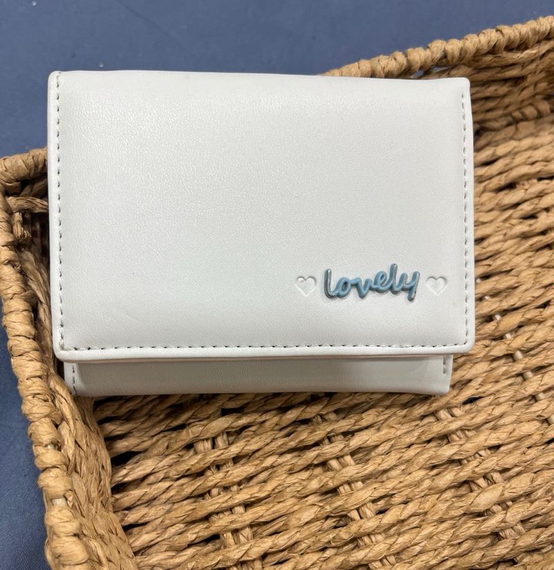 Pastel blue miniso wallet