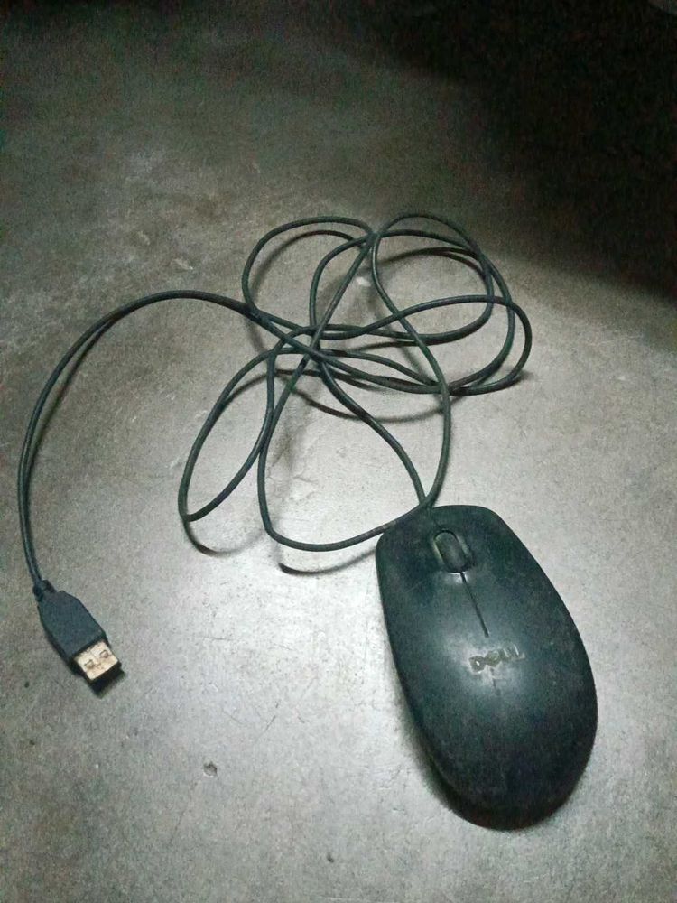 Mouse