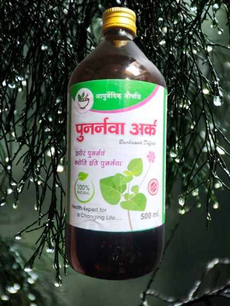Punarava Ark - Detox Your Body