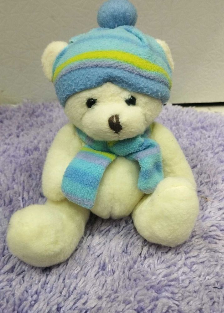 Teddy Bear In Winter Cloth Accessories