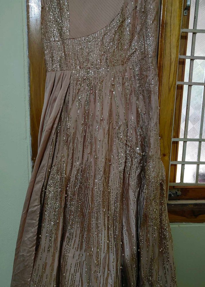 Elegant Ethnic Gown
