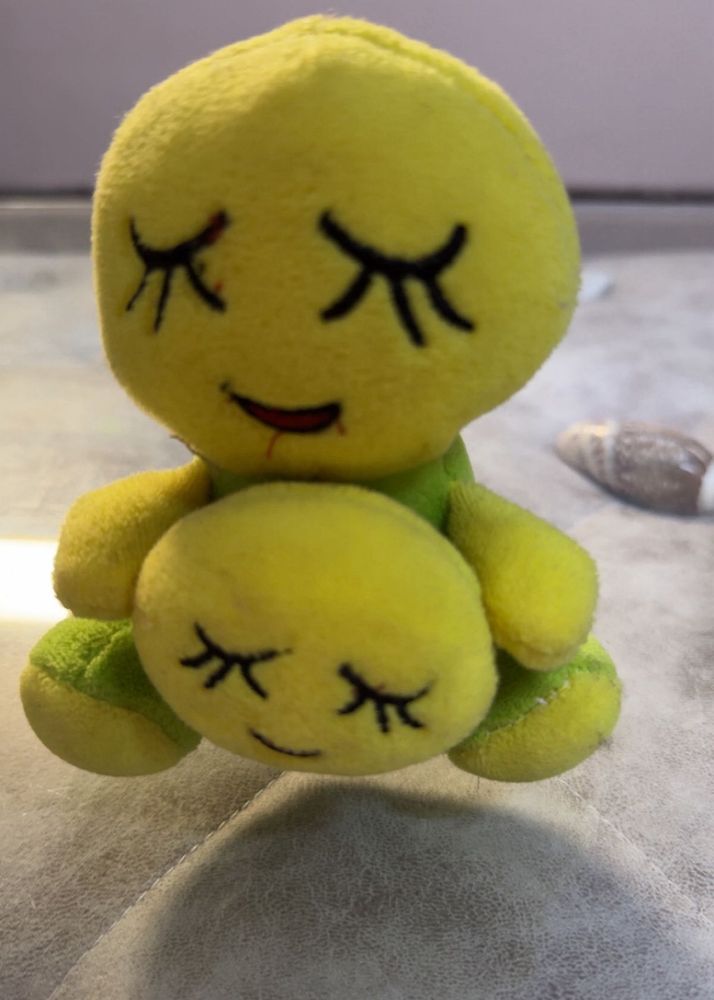 Cute Plush Turtle