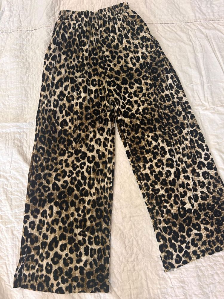 Flared Leopard Print Pant