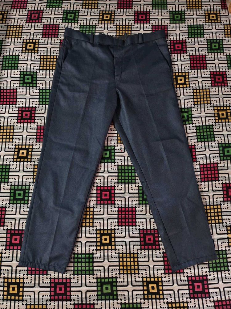 Blue Slim Fit Pant