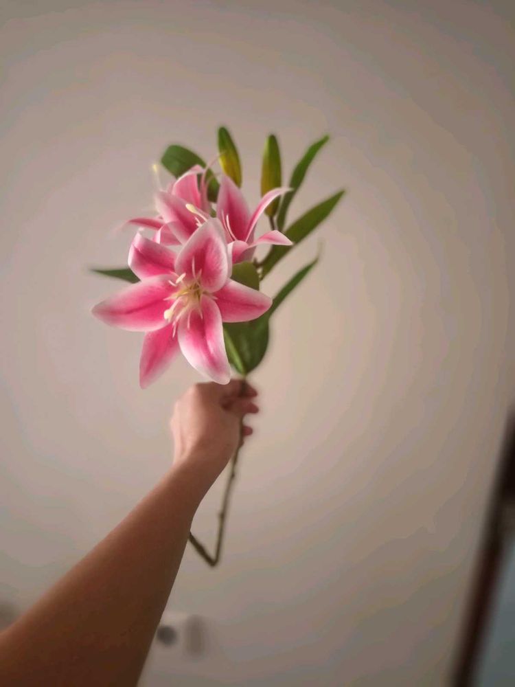 New Calla Lilly Flower Bunch