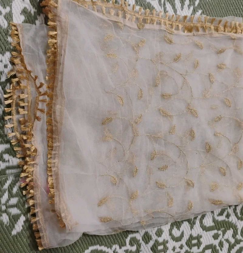 Elegant Embroidered Dupatta