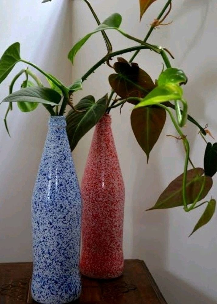 Money Plant Cuttings Only . Bottle/Pot Without