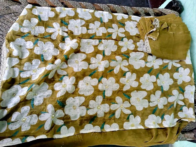 Elegant Floral zari And Real miror Suit Set