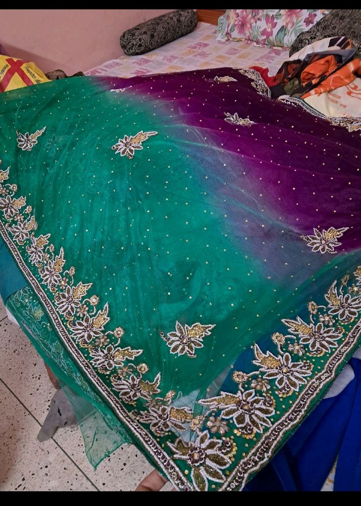 Double Net Hand Work Saree