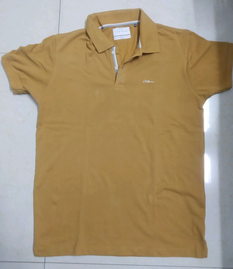 Collar T-shirt ( Octave )
