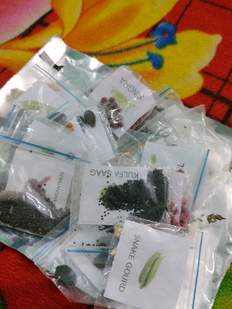 Seeds ☘️ (Pack Of 20)