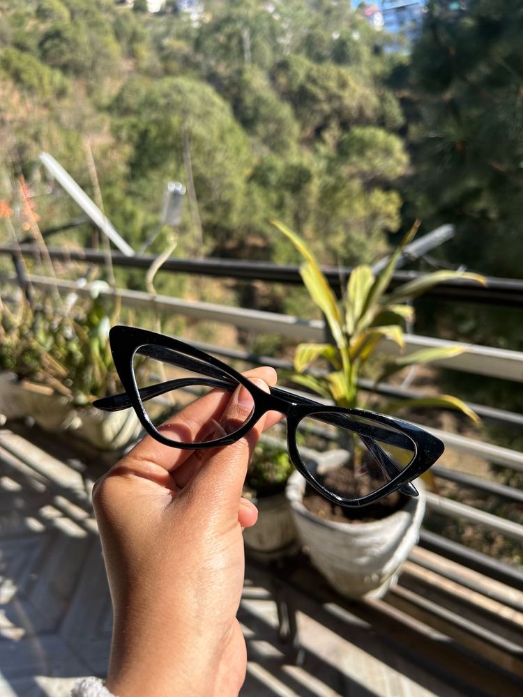 Retro Cat Eye Frames