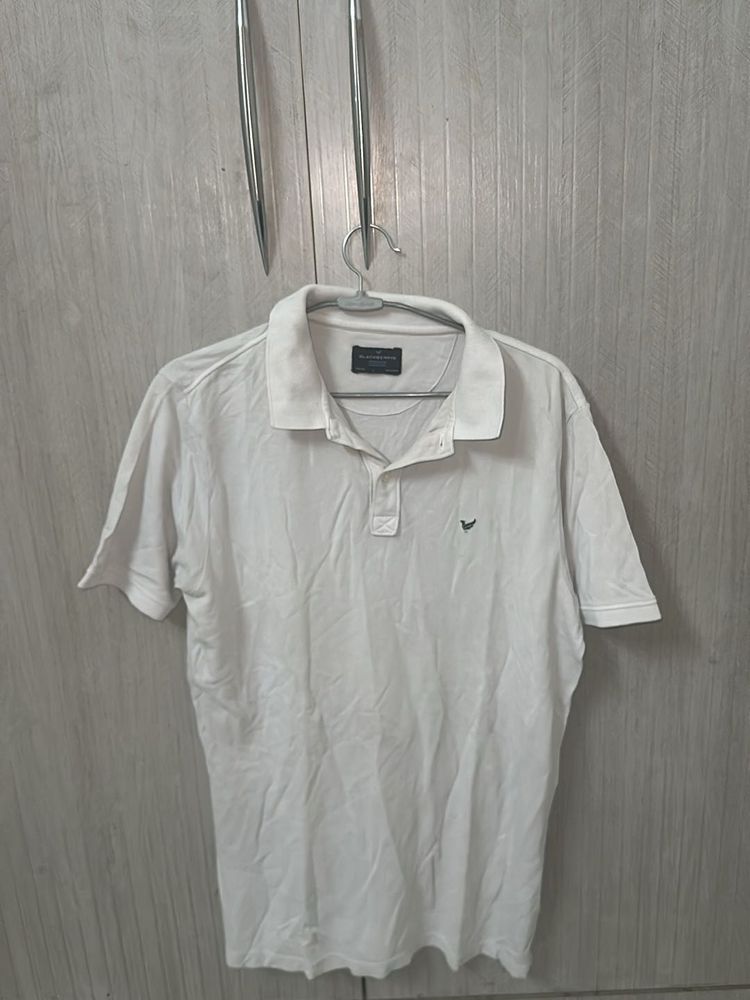 White Polo Shirt