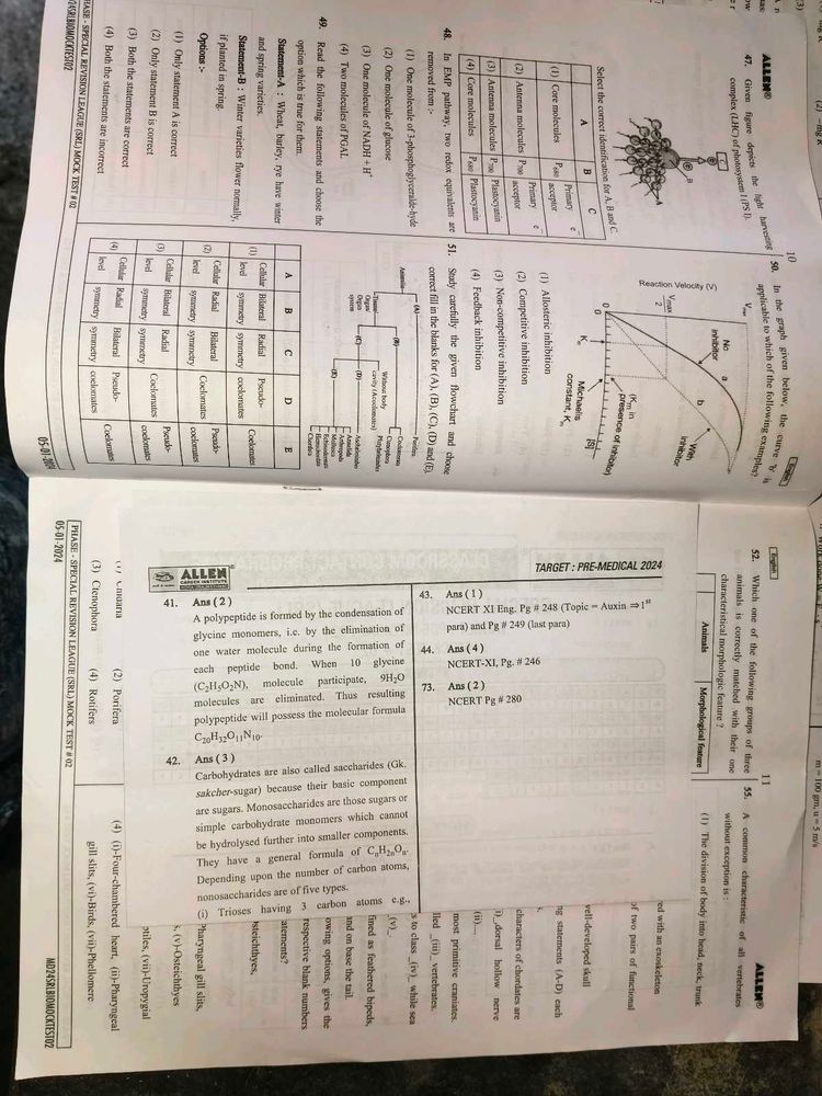 Allen Mock Papers