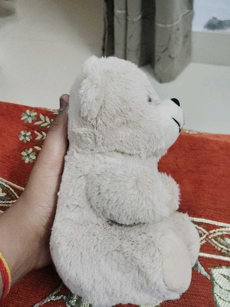 Cute Teddy Bear