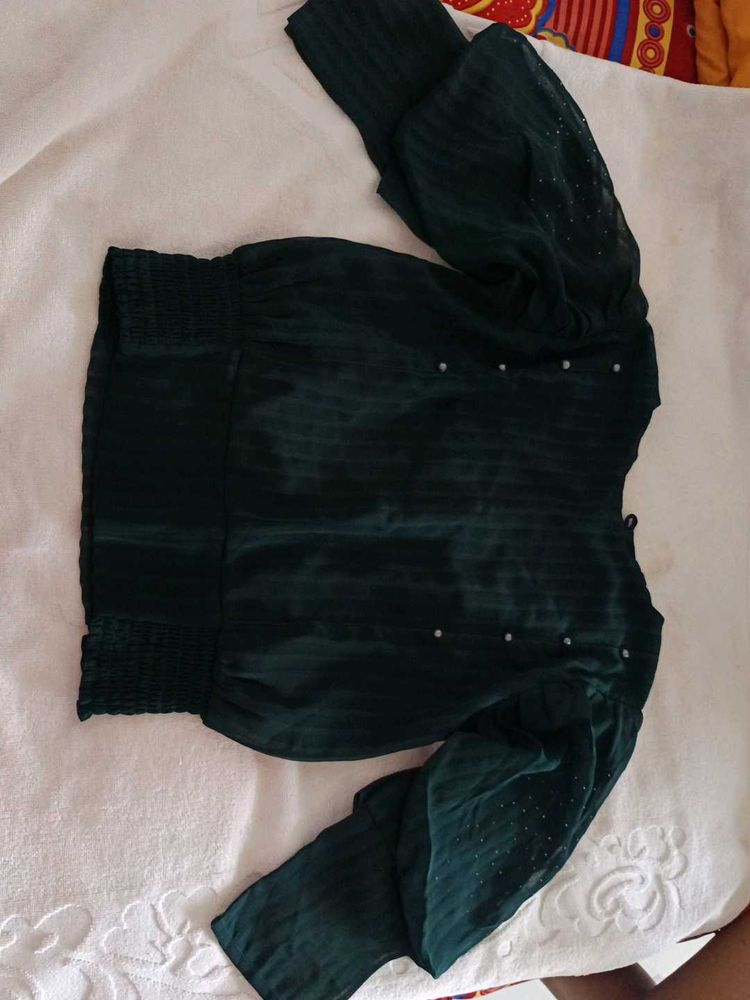 Green Sheer Sleeve Top