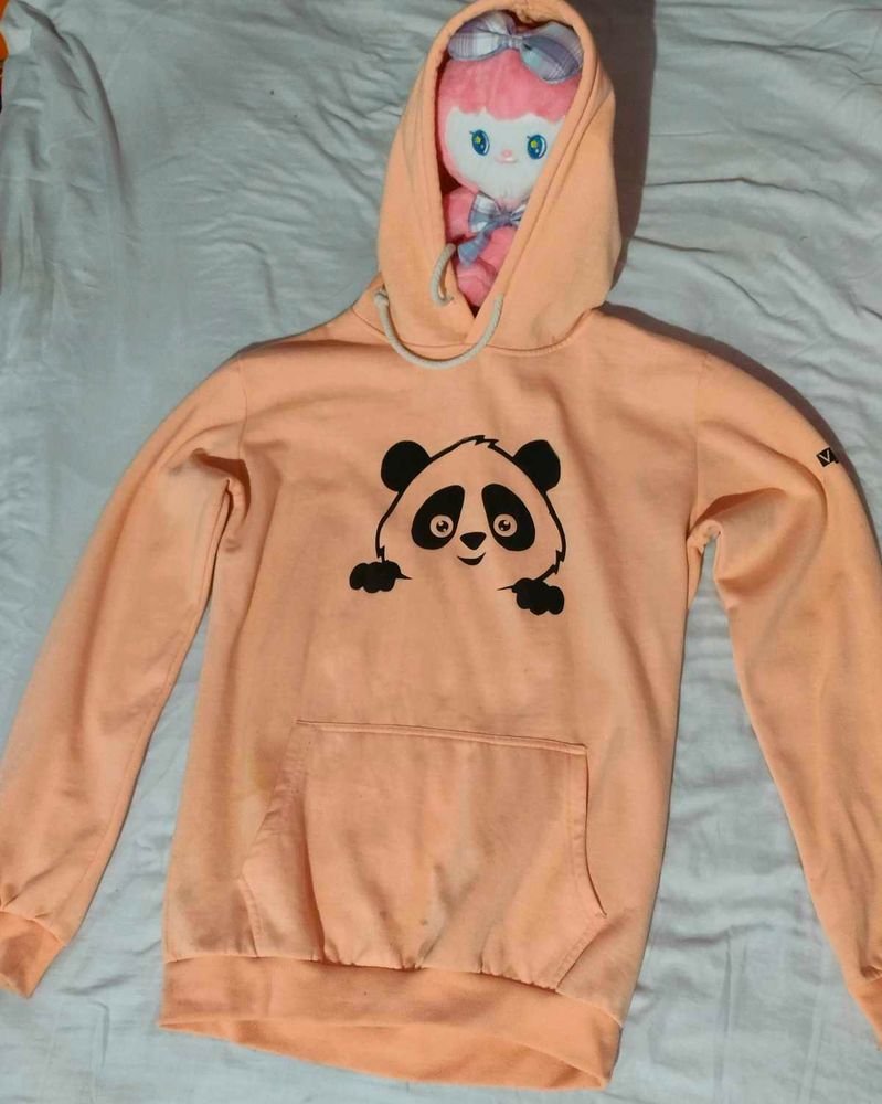 Casual Winter Wear, Hoodie.