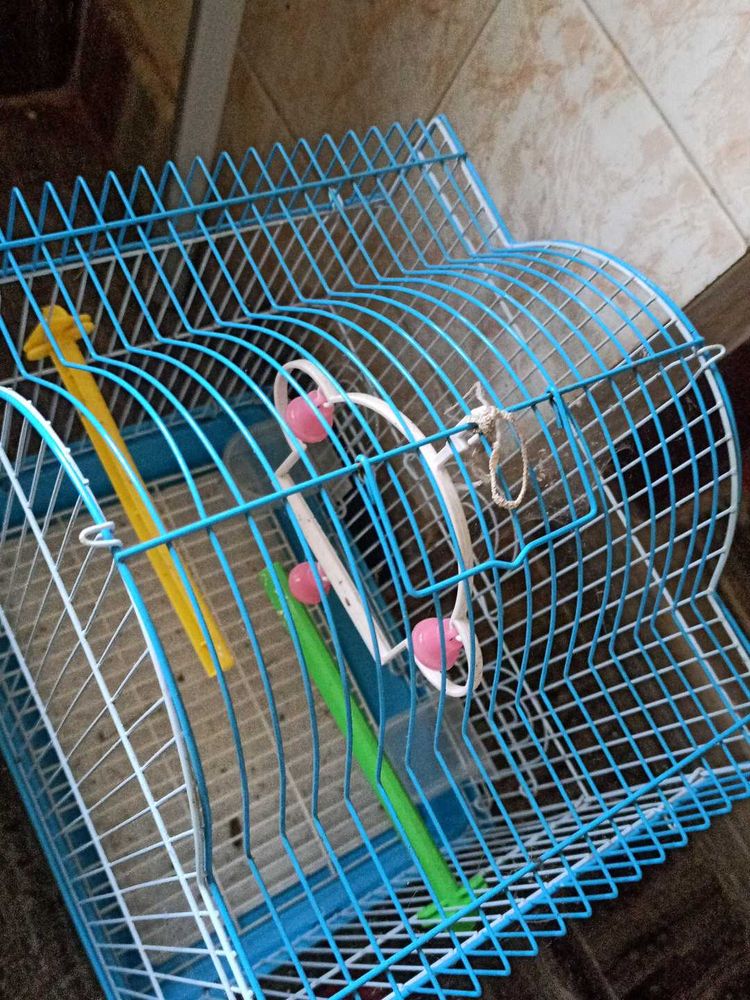 Pet Cage