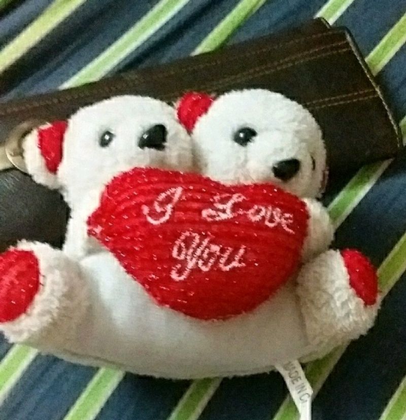 Teddy Bear