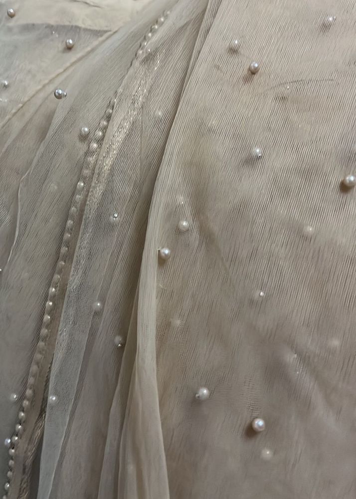 Elegant Net Saree