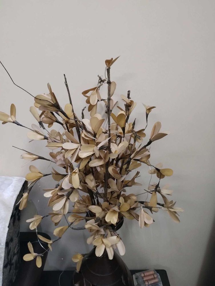 Beautiful and classydry leaves home decor