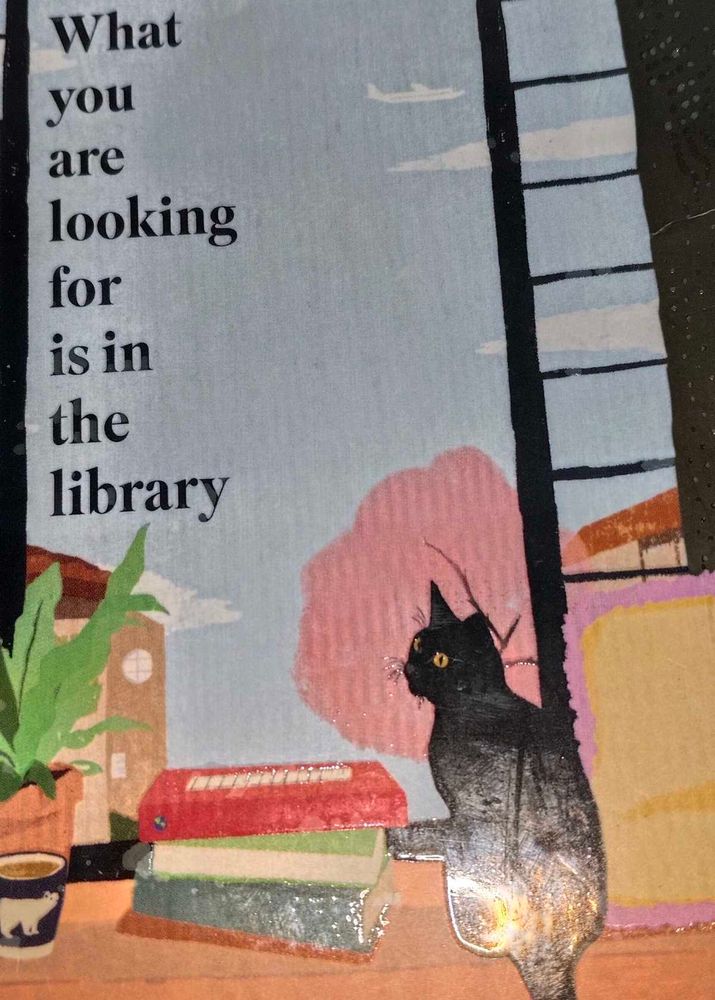 Book What You Are Looking For Is In The Library