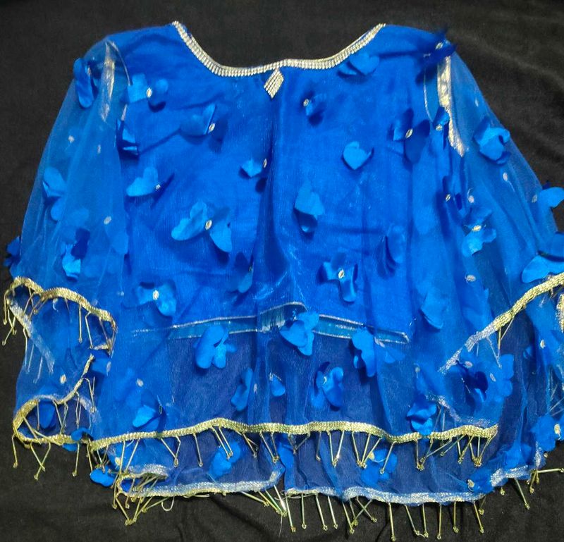 Blue Flower Mesh Top Lehnga  With Butterfly Blouse