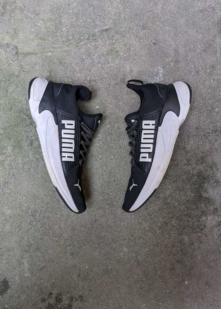 Puma Shoes 👟