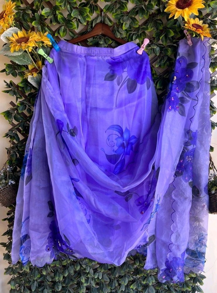 Organza Saree Predape