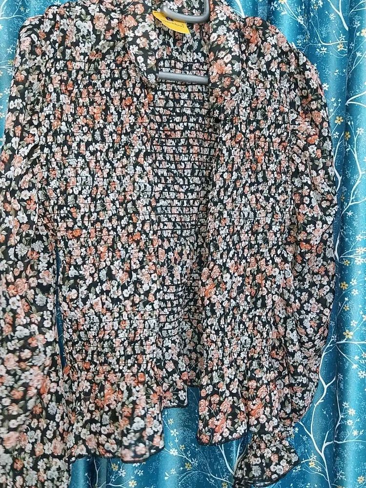 A Shirt With Puffed Sleeves