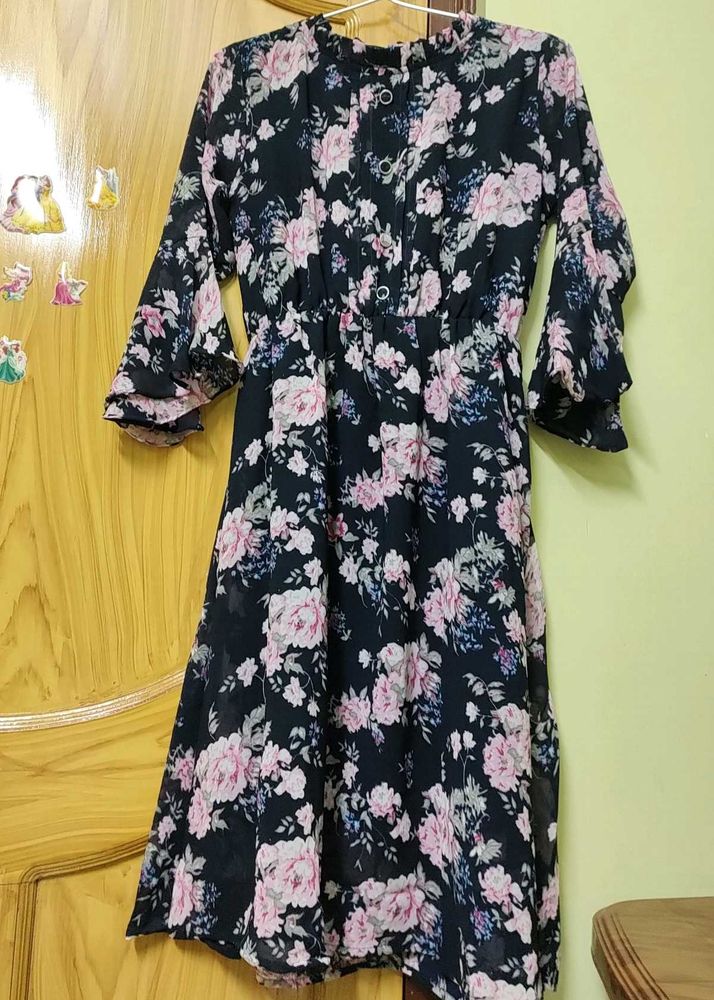 Women Fit and Flare Multicolour Below Knee Dress