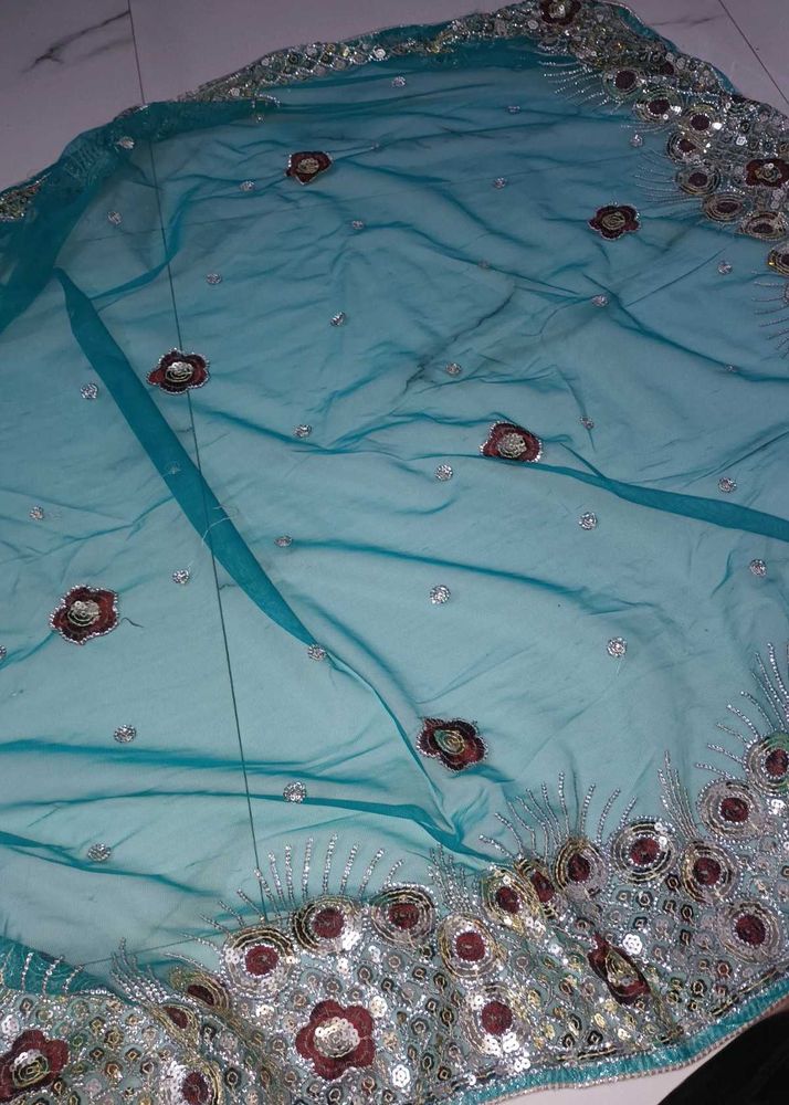 Whole Saree Set! Vintage Green! Sparkly Sequence