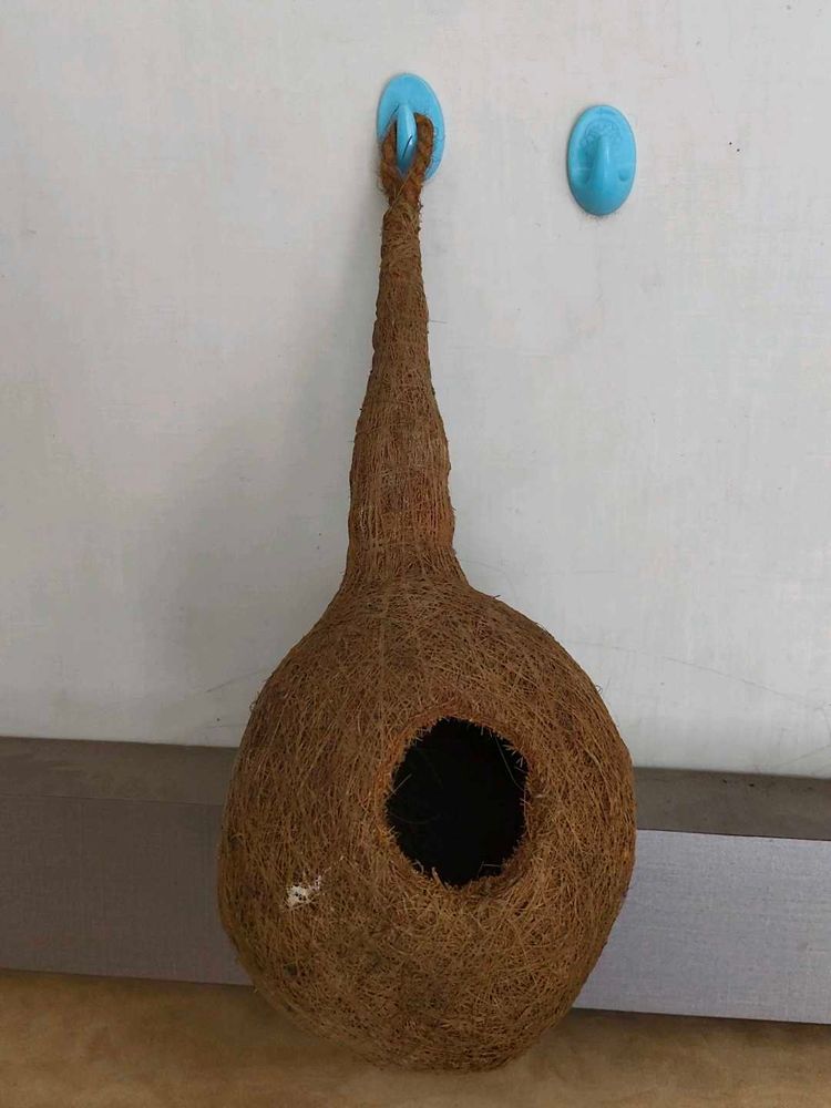 Hanging Bird Nest