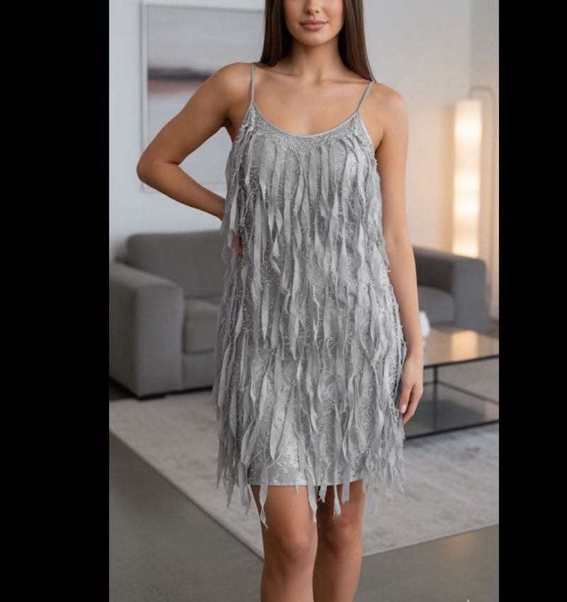 disco night 🪩 party silver mini dress