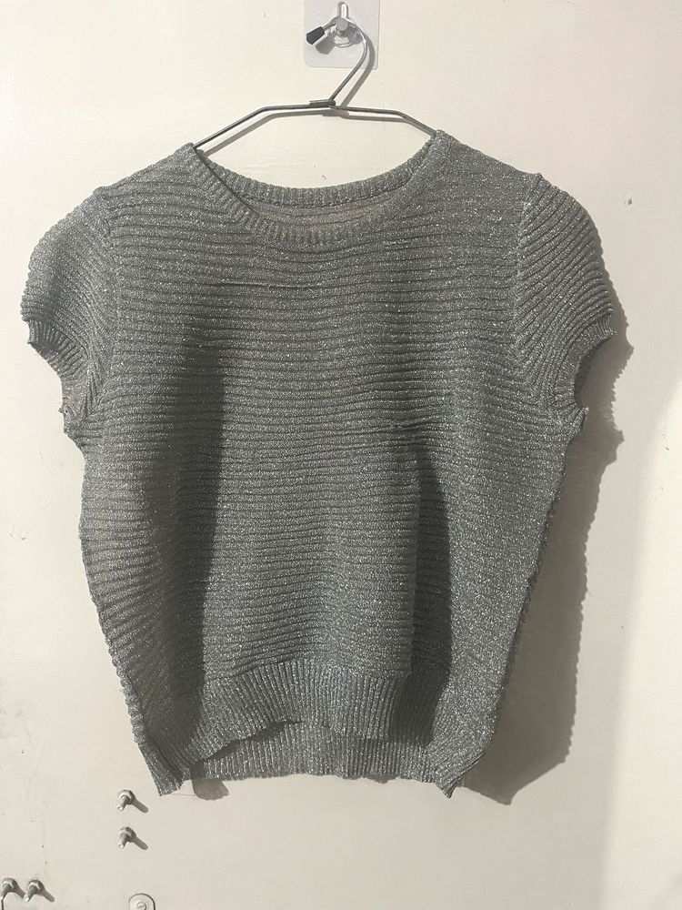 Sparkly Silver Semisheer Crop Top