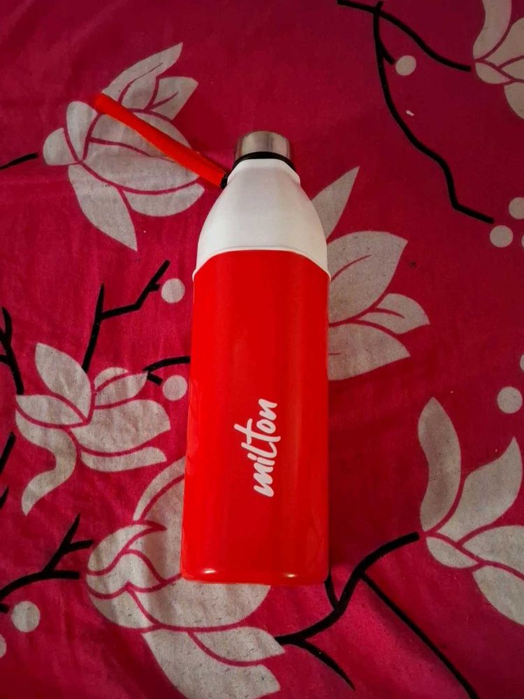 Water Bottle