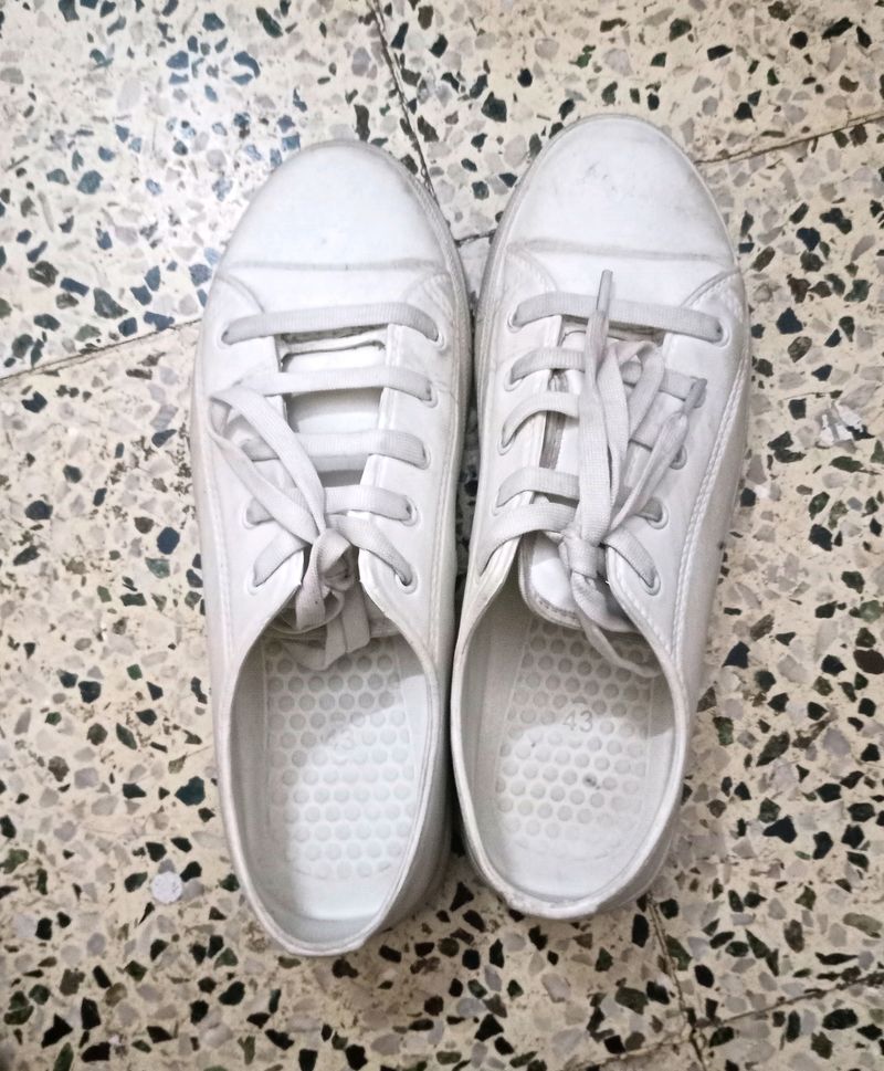 White Sneakers!