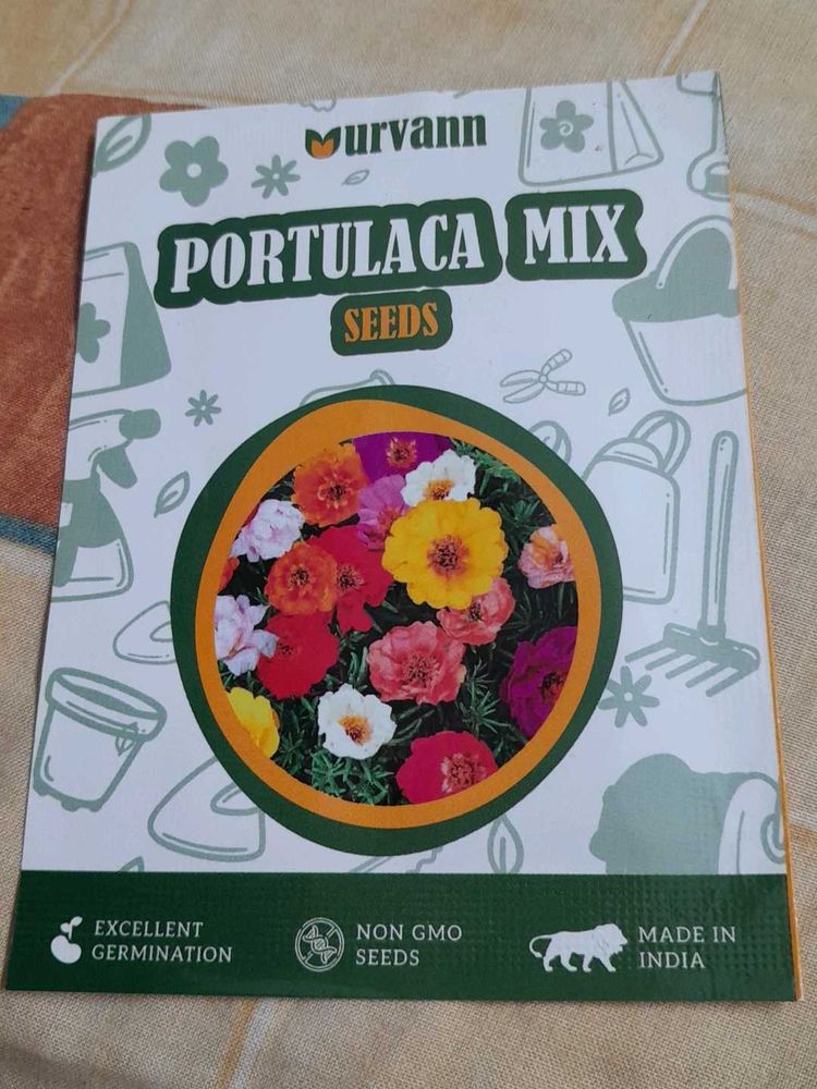 WINTER FLOWERING PLANTS-PORTULACA MIX