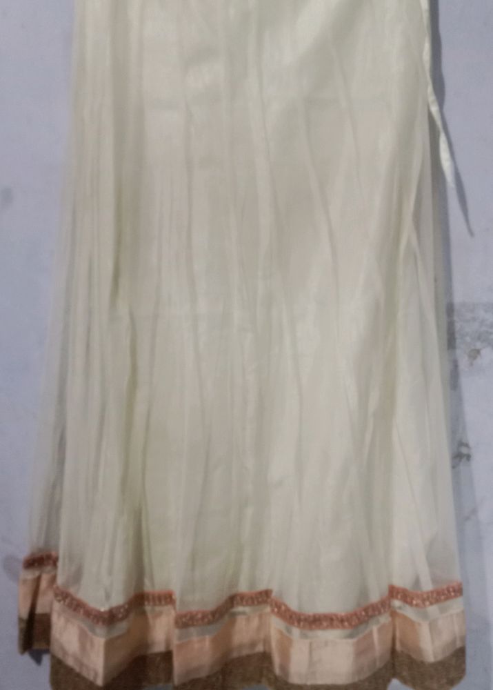 Cream Embroidered Net Skirt