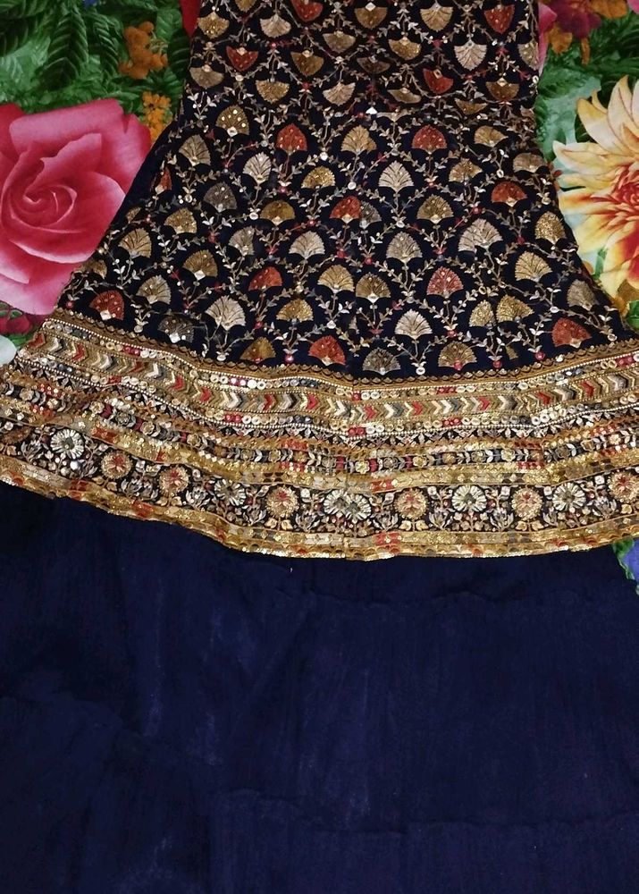 Elegant Embroidered Ethnic Dress