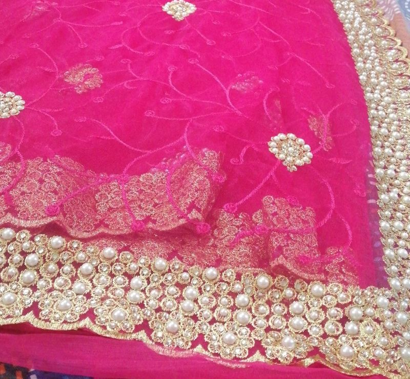 Jivika Pink Refined Net Saree