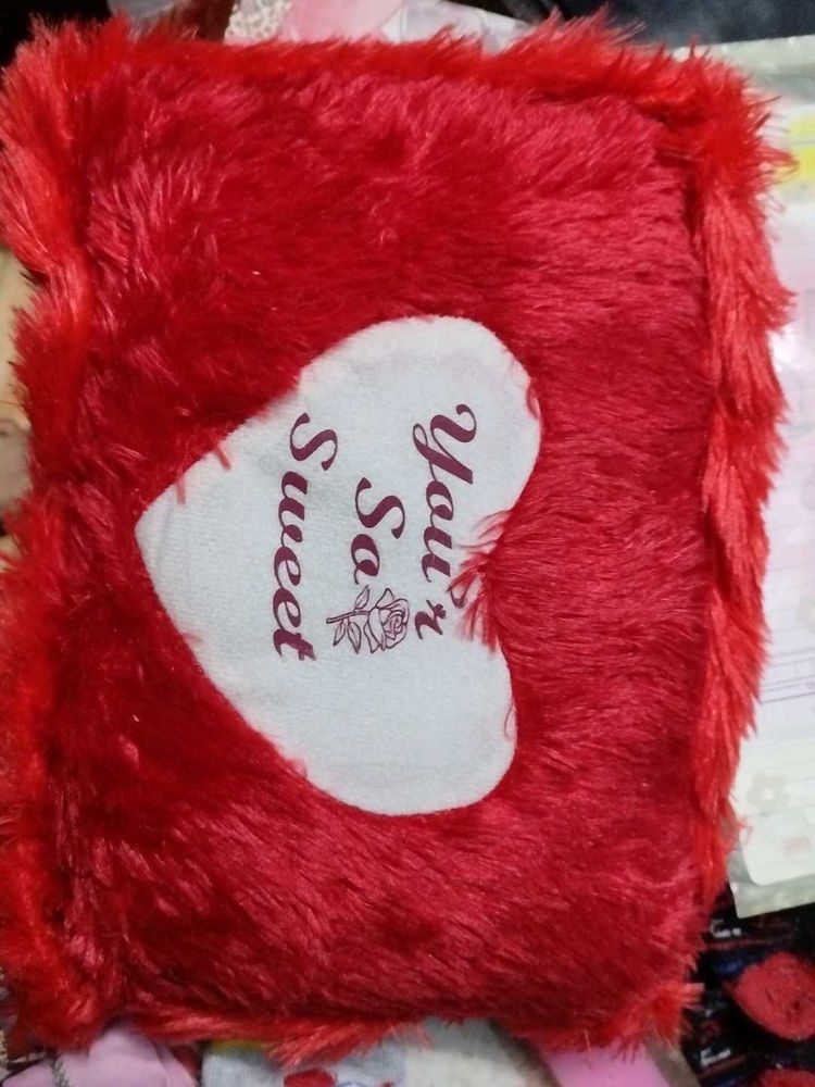 A Soft Teddy Pillow
