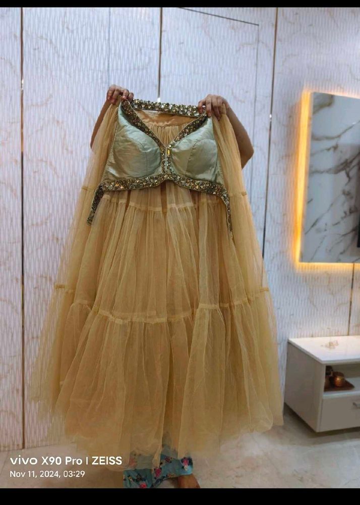 Heavy Flared Backless Choli Lehnga